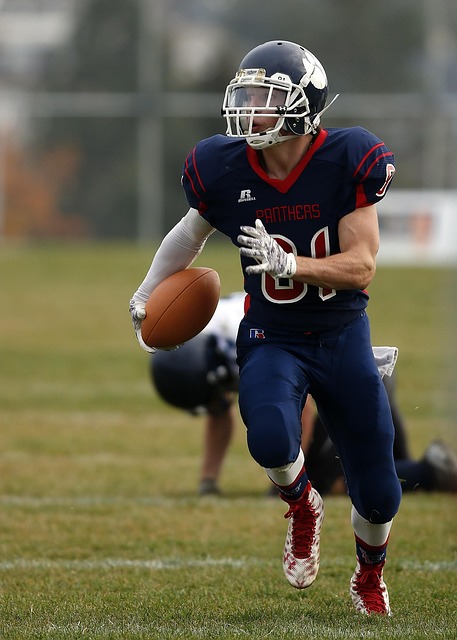 背部肌群的 背部肌群的